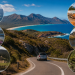 Great Ocean Road Road Trip Guide: Coastal Cliffs, Rainforests, Wildlife and Smarter Travel in Victoria